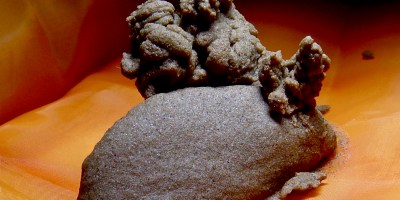 marijuana concentrates cannabis concentrates hashish